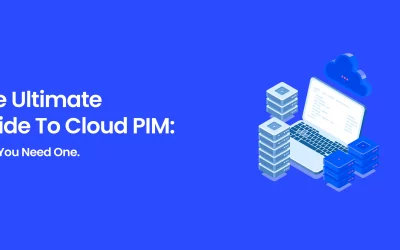 The Ultimate Guide To Cloud PIM: Why You Need One