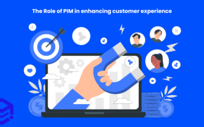 Enhancing Customer Experience with Apimio’s PIM solution