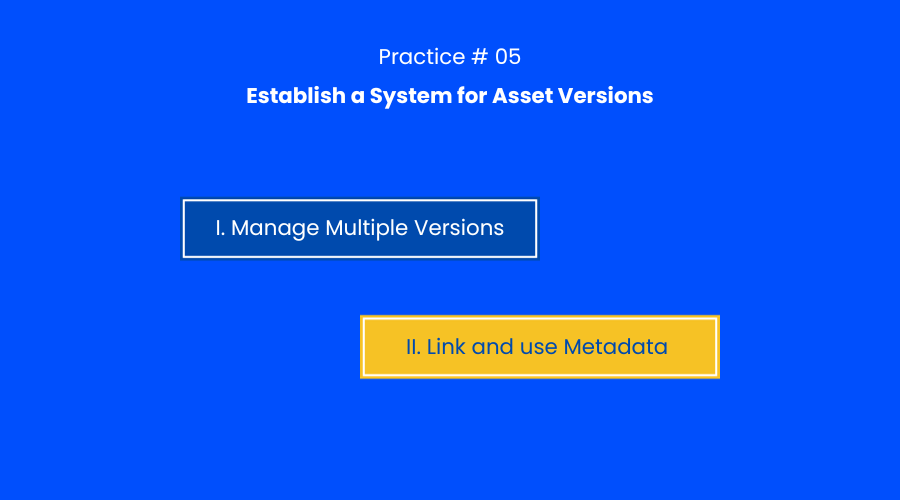 system for asset versions